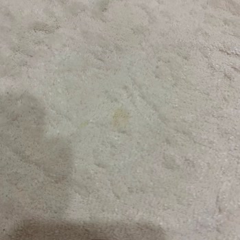 Yiğit Halı Şikayeti
