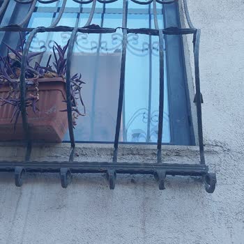 Horoz Lojistik Kamyonu Ferforje Korkuluğuna Zarar Verdi: Tazminat Bekliyorum