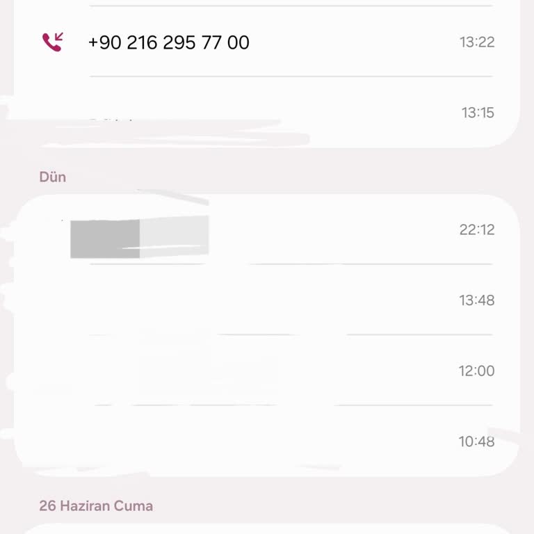 Kişisel Verilerimin Ve Ses Kaydımın İzinsiz Toplanması, AI Tabanlı Aramanın Durdurulması