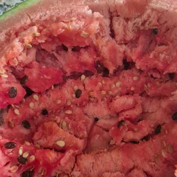 Karpuz Satışında Sağlık Riski Ve İade Reddi