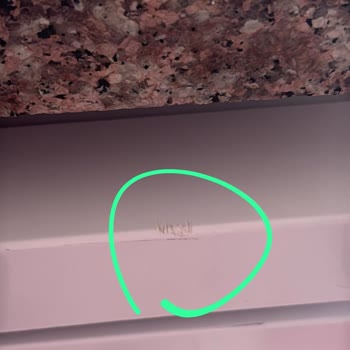 Garantili Vestel Bulaşık Makinesinde Temiz Yıkama Sorunu Ve Servis Hasarı