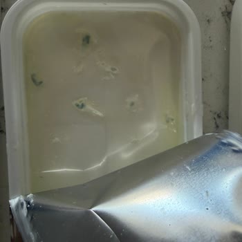 İçim Süzme Peynirinde Küf Sorunu Ve Güven Kaybı