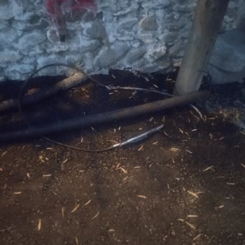 13 Gün Süreyle Kesintili İnternet, Bilgi Eksikliği Ve Koordinasyon Sorunu