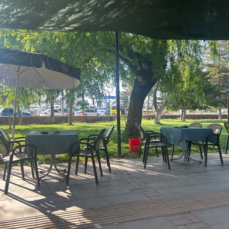 Kurtuluş Parkı Ağaçlarındaki Süregelen Böceklenme Halk Sağlığını Tehdit Ediyor