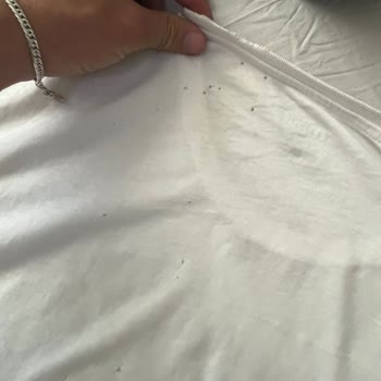 Mavi T-Shirt Sırtı Sadece İki Yıkamadan Sonra Yırtıldı