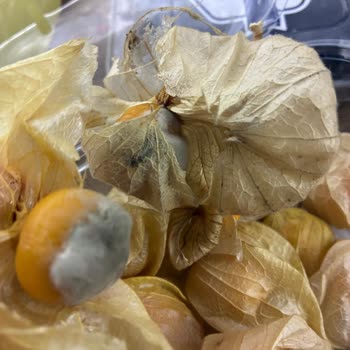 Migros'tan Küflü Çilek Ürünü Ücret İadesi Talebi