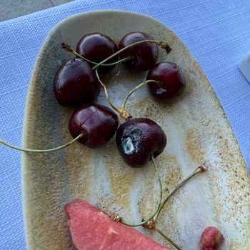 Assos Longevity Hotel Hijyen Eksikliği Ve Son Tüketim Tarihi Geçmiş Su Şişesi Nedeniyle Sağlık Riski