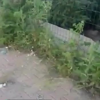 Melikgazi Belediyesi Mahallemize Bakılmıyor, Temizlik Yapılmıyor