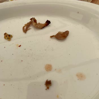 Dönerin Az Pişmiş Ve Sert Olması