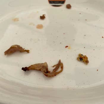Dönerin Az Pişmiş Ve Sert Olması