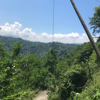 Rize Sütlüce Köyünde Tehlikeli Elektrik Direkleri 6 Aydır Çözülmüyor