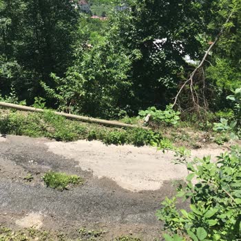 Rize Sütlüce Köyünde Tehlikeli Elektrik Direkleri 6 Aydır Çözülmüyor