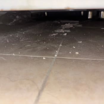 Ölü Hamam Böceği Ve Çalışmayan Buzdolabı Nedeniyle Hijyen Ve Hizmet Sorunları