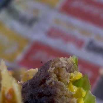 Kapalı Kıl Bulunan Burgerde Hijyen İhlali Ve Ücret İadesi Talebi