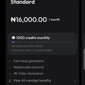 Hailuo AI Unauthorized Subscription, Illegal Debit Of Funds