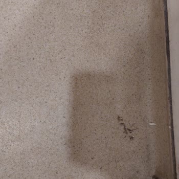 Afyonkarahisar Kadın Doğum Acil Servisinde Hijyen İhmali Endişe Yarattı