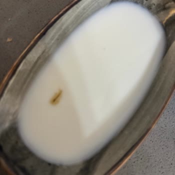 1 Litre Torku Doğal Sütte Yabancı Madde Tespiti Güveni Sarsıyor