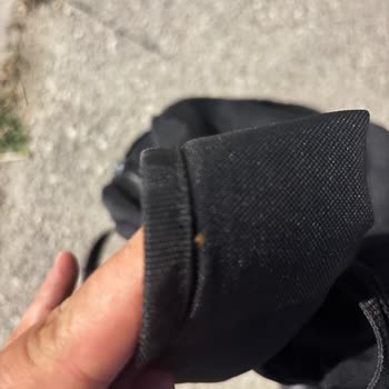 Otobüste Böceklerle Karşılaşma Ve Hijyen Sorunu