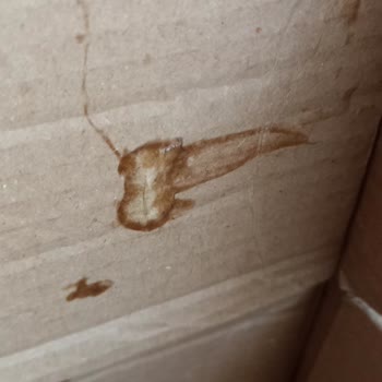 Kırık Paketleme Nedeniyle Sızan Ürünler Ve Güneş Kremi İadesinin Cevapsız Kalması