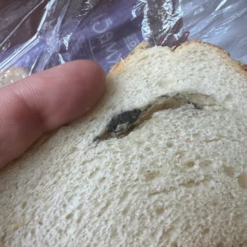Harras Tost Ekmeğinde Çamurumsu Kütle: Hijyen Sorunu Ve Denetim Talebi