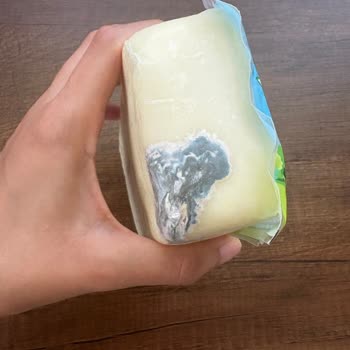 Açılmamış Sütaş Kaşar Peynirinin Süresi Gelmeden Küflenmesi