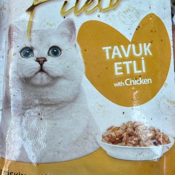 BİM'den Alınan Bestpet Fileto Yaş Mama Nedeniyle Üç Kedi Ölümü Ve İnceleme Talebi