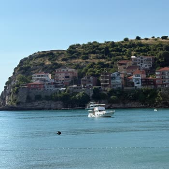 Yorgun Şoför Ve MiniBüste Güvenlik Korkusu