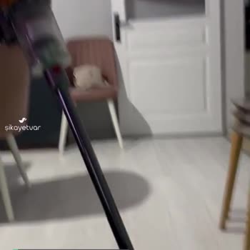 Dyson Kablosuz Süpürge Arızası