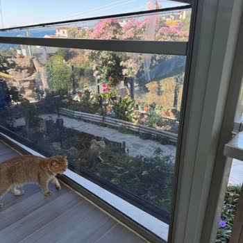 Anadolu Sigorta Doğal Afet Hasarını Reddetti, Yetersiz Tazminat