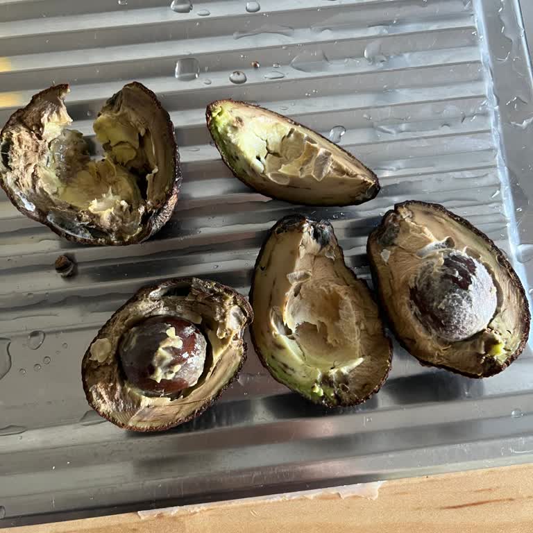 Bozuk Avokado Teslimatı İçin İade Talebi