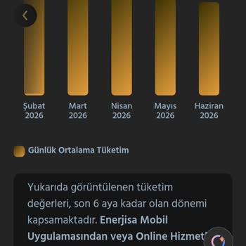 İşitme Engellinin Hatalı Elektrik Faturası İptali Ve Düzeltme Talebi