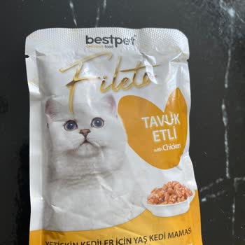 Best Pet Tavuklu Kedi Maması Nedeniyle Kedimde Ani Şiddetli Kusma Ve Ölüm