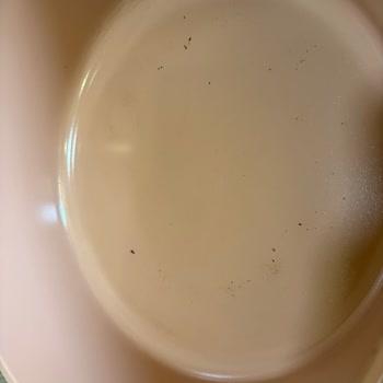 Altı Temizlenmeyen Tencere Kullanılamaz Durumda
