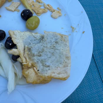 Kuşadası Otelinde Hijyen, Sinek Ve Gıda Sorunları Nedeniyle Erken Çıkış Ve İade Talebi
