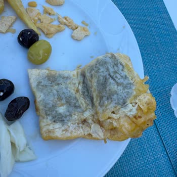 Kuşadası Otelinde Hijyen, Sinek Ve Gıda Sorunları Nedeniyle Erken Çıkış Ve İade Talebi