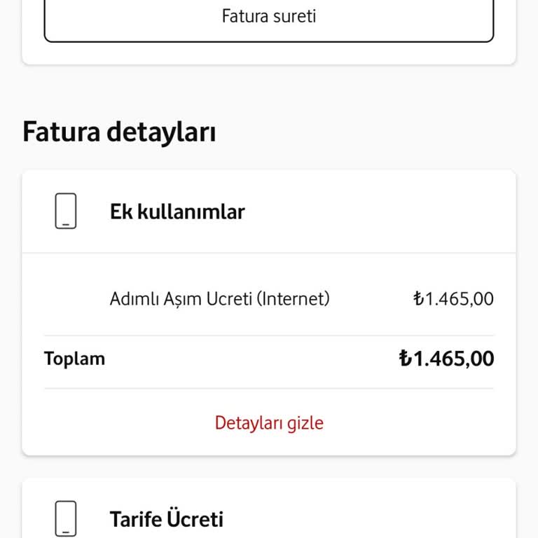 Aşım Ücreti Ve Şaşırtıcı Vergi Nedeniyle 2800 TL'lik Fatura