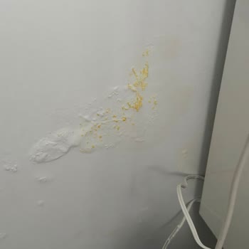 Duvar Kabarması Artıyor Ve Sigortadan Cevap Bekliyoruz