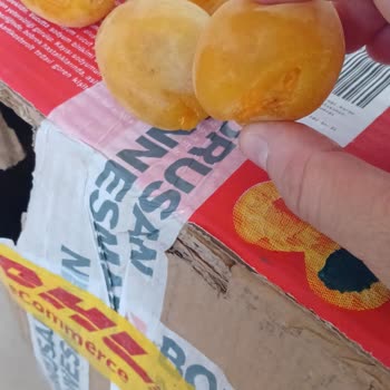 DHL Express'te Gıda Ürünü Kargomun Hasarlı Teslimatı Ve Tazminat Talebi