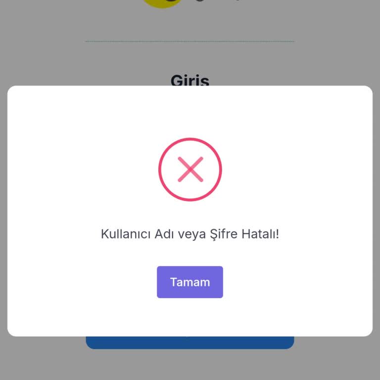 Bilişim Garajı Dijital Eğitim Üyeliği Girişi Çözülemedi, Destek Yanıtı Alınamadı