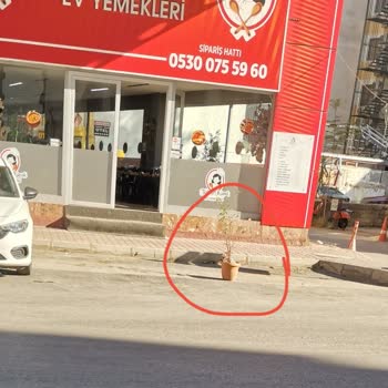 Muratpaşa’da Alkol Ve Çöp Sorunu Parkı Güvensiz Kılıyor, Yetkiler Sorumluluk Tartışması