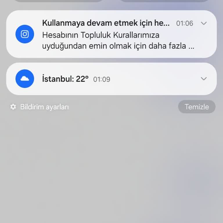 Instagram Hesaplarım Haksız Askıya Alındı, İtirazlar Cevapsız
