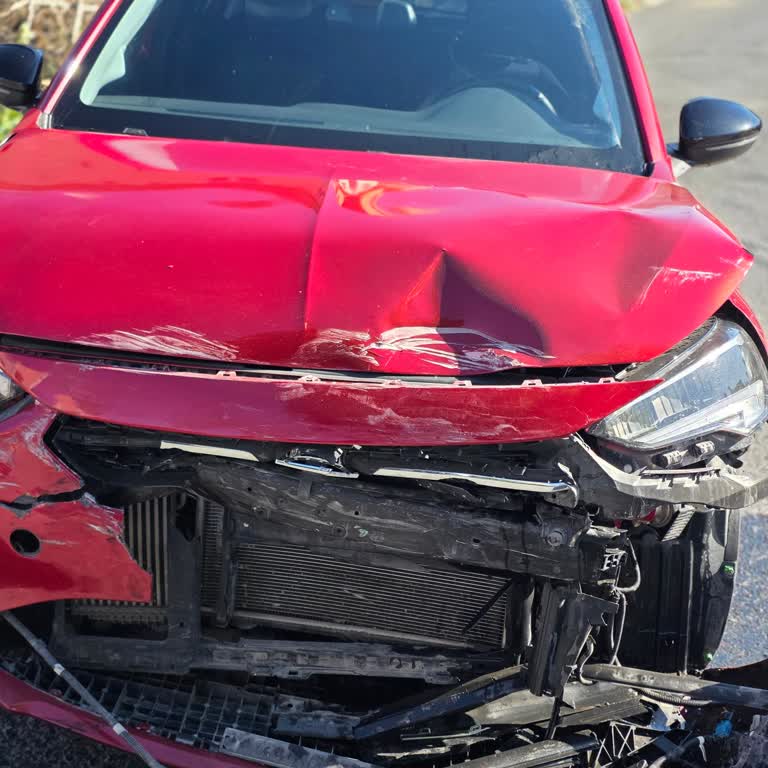 Melisa Airbag Tamir Ettik Dedikleri Airbaglar Açılmadı