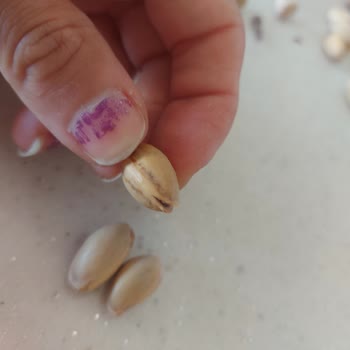 Kabuğu Kapalı Antep Siirt Fıstığında Kalitesizlik Ve Ücret İadesi Talebi