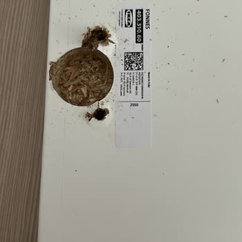 İlk Kurulum Sonrası Menteşe Arızası Ve Kapak Değişimi Talebi