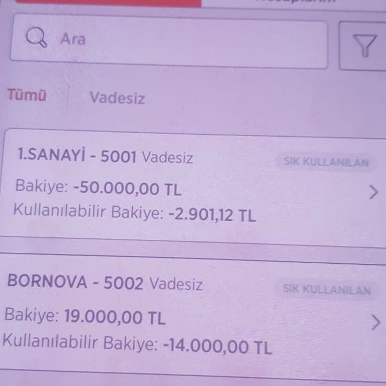 Emekli Maaşımın Blokeliği Ve Borç Yapılandırması İçin Acil Çözüm Talebi