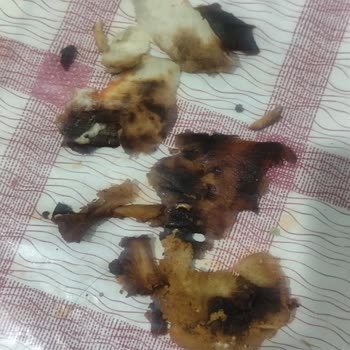 Yanık Ve Eksik Gramajlı Tavuk İçin Yetersiz Tıkla Para İadesi