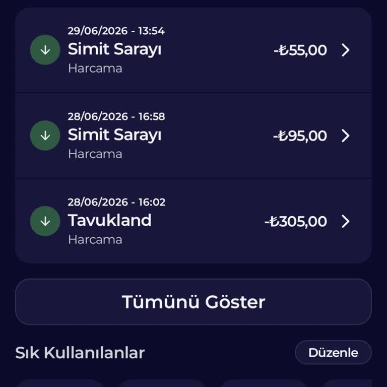 Tavuk Land'da Gıda Zehirlenmesi Şiddetli Bulantı ve İshal