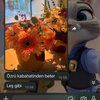 Onay Görsellerindeki Kötü Çiçek Durumu Ve Çürük Teslimat