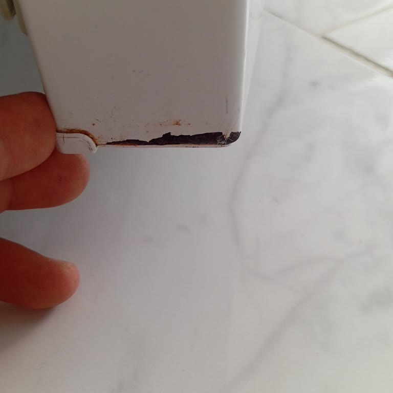 Garanti Kapsamındaki Paslanan Buzdolabı Kapak Ücretsiz Değişim Ve 900 TL Ücret İadesi Talebi