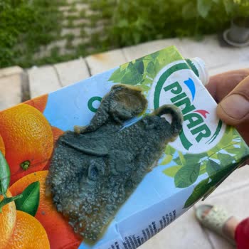 Pınar Et Ve Süt Meyve Suyundan Yosun Benzeri, Yeşil Ve Büyük Parçalar Döküldü